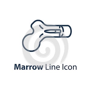 Human internal organ, marrow diagram, vector line icon