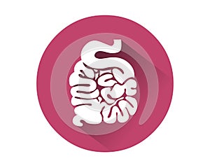 Small intestine icon vector.Human internal organ photo