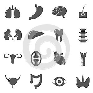 Human internal organs black icons vector set