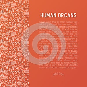 Human internal organs concept