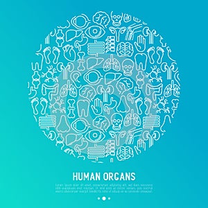 Human internal organs concept in circle