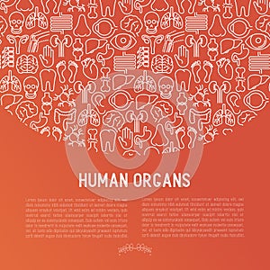 Human internal organs concept with thin line icons