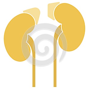 Human internal organs: kidneys, adrenal glands and ureters. Vector image. Flat design