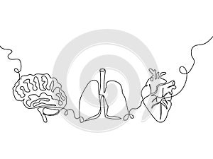 Human internal organs one line set art. Continuous line drawing of lungs, pulmonary vein, heart, aorta, ventricles photo