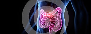 Understanding human digestion with a detailed view of the intestines in a glowing illustration