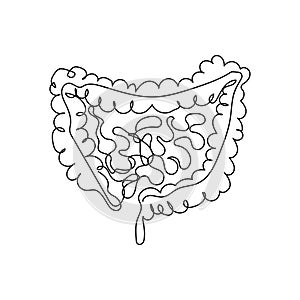 Human intestines one line art. Continuous line drawing of human, internal, organs, intestines, small intestine, large