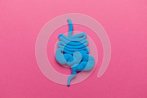 Human intestines on pink background. Diarrhea and constipation. Stitches and stomach discomfort