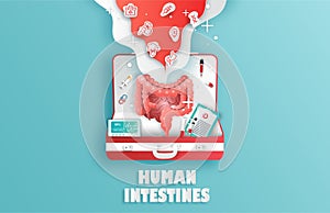Human intestines and treatment paper cut style.