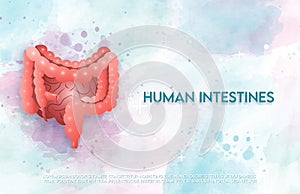 Human intestines and treatment watercolor style.