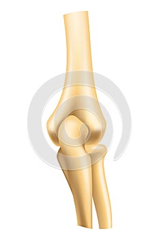 Human joints vector icons for orthopedics and surgery medical design. Vector isolated icon of leg knee or arm and hand