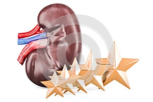 Human Kidney with five golden stars. Customer rating, 3D rendering