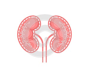 Human kidney with leaves branches vector icon isolated on white background