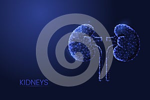 Human kidneys low poly concept vector illustration.