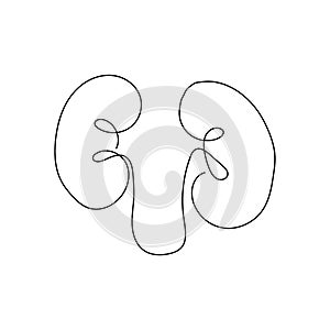 Human kidneys with ureters one line art. Continuous line drawing of human, internal, organs, kidneys, ureters, excretory