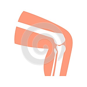 Human knee with bones and joints as in xray, medical chart