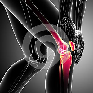 Human knee pain