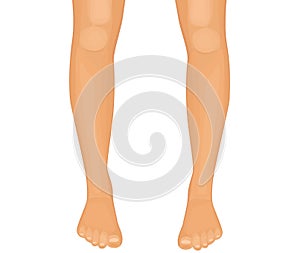 Human legs vector illustration