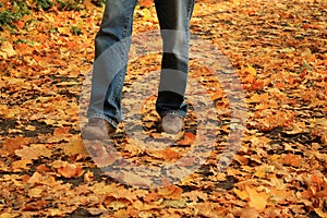 Human legs walking on yellow fallen leaves in autumn.