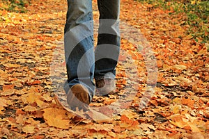 Human legs walking on yellow fallen leaves in autumn.