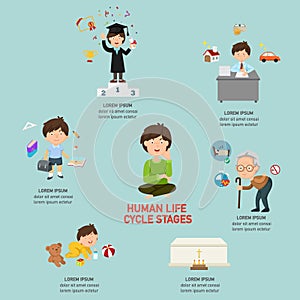 Human life cycle stages infographic