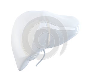 Human Liver. 3d render. Isolated, contains clipping path.