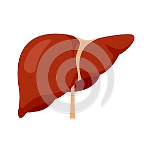 Human liver icon, flat style