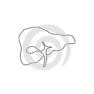 Human liver icon, outline style