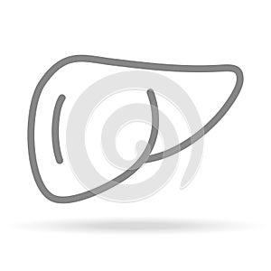 Human Liver Icon In Trendy Thin Line Style Isolated On White Background. Medical Symbol For Your Design, Apps, Logo, UI