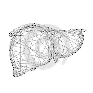 Human liver organ gland of external secretion body from abstract