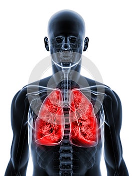 Hombre pulmones 