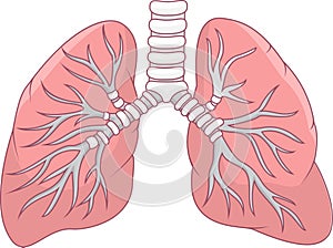 Human lung