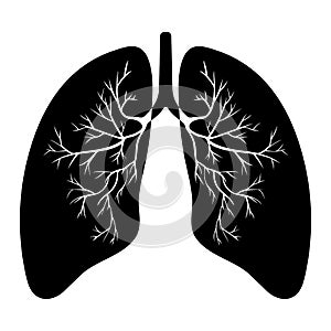 Human lung anatomy. Respiratory tract disease. Respiratory systems