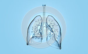 Human lungs with alveolus, medically 3D illustration