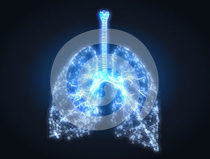 Human lungs with bronchi and pulmonars alveoli, conceptual artwork