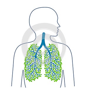 Human lungs. Healthy clean lungs. Bronchial tree. Ecology medicine and health. Healthy lifestyle. Vector illuiostrations