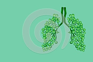 Human lungs made of twigs and leaves on a green background. Concept photo