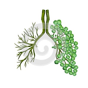 Human lungs made of twigs and leaves on a white background. Concept photo