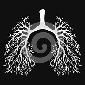 Human lungs. Respiratory system. Healthy lungs. Light in the form of a tree. Black and white drawing on a chalkboard