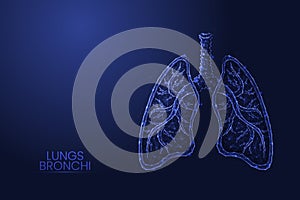 Human lungs with trachea and bronchi low poly concept vector illustration.