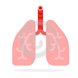 Human lungs vector flat material design isolated object on white background. photo