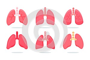 Human Lungs Vector. The lungs are the internal organs of the body that aid in breathing