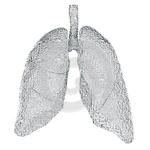 Human lungs wrapped in foil, 3D rendering