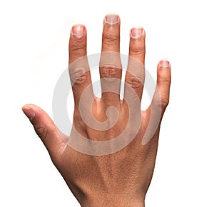 Human Male hand