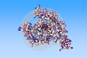 Human mesotrypsin in a complex with bovine pancreatic trypsin inhibitor. Atoms are shown as color-coded spheres: carbon photo