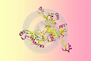 Human mesotrypsin in a complex with bovine pancreatic trypsin inhibitor. Ribbons diagram in secondary structure coloring photo