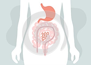 Human microbiome illustration with intestines and bacteria Vector picture. Gastroenterologist. Bifidobacteria