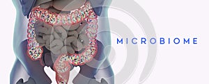 Human microbiome large intestine filled with bacteria. Title: `Digestive System`