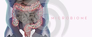 Human microbiome large intestine filled with bacteria. Title: `Digestive System`