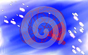 Human mind and tiny fishes.