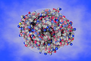 Human mitochondrial beta-ketoacyl ACP synthase. Space-filling molecular model. Scientific background. 3d illustration